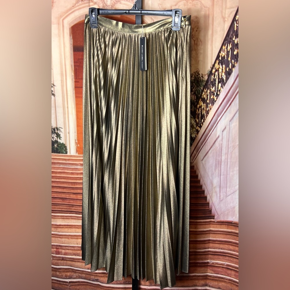 NWT Chico’s Metallic Pleated Skirt, Size 00, XS, beautiful, side zip - Picture 3 of 8
